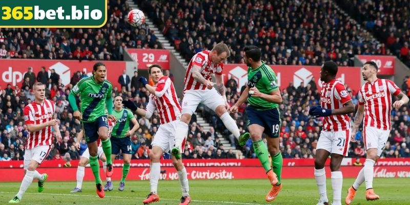 Kèo Châu Á Là Gì? Cách Đọc Chiến Thuật Soi Kèo Từ 365Bet 3 Dựa trên dữ liệu lịch sử tại 365Bet